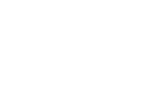 Noah’s Ark Properties